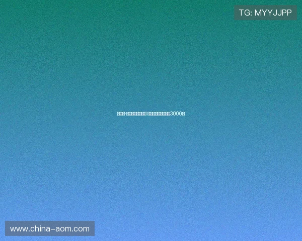 韦斯利-利马愿意加盟罗马 弗拉门戈标价不低于3000万